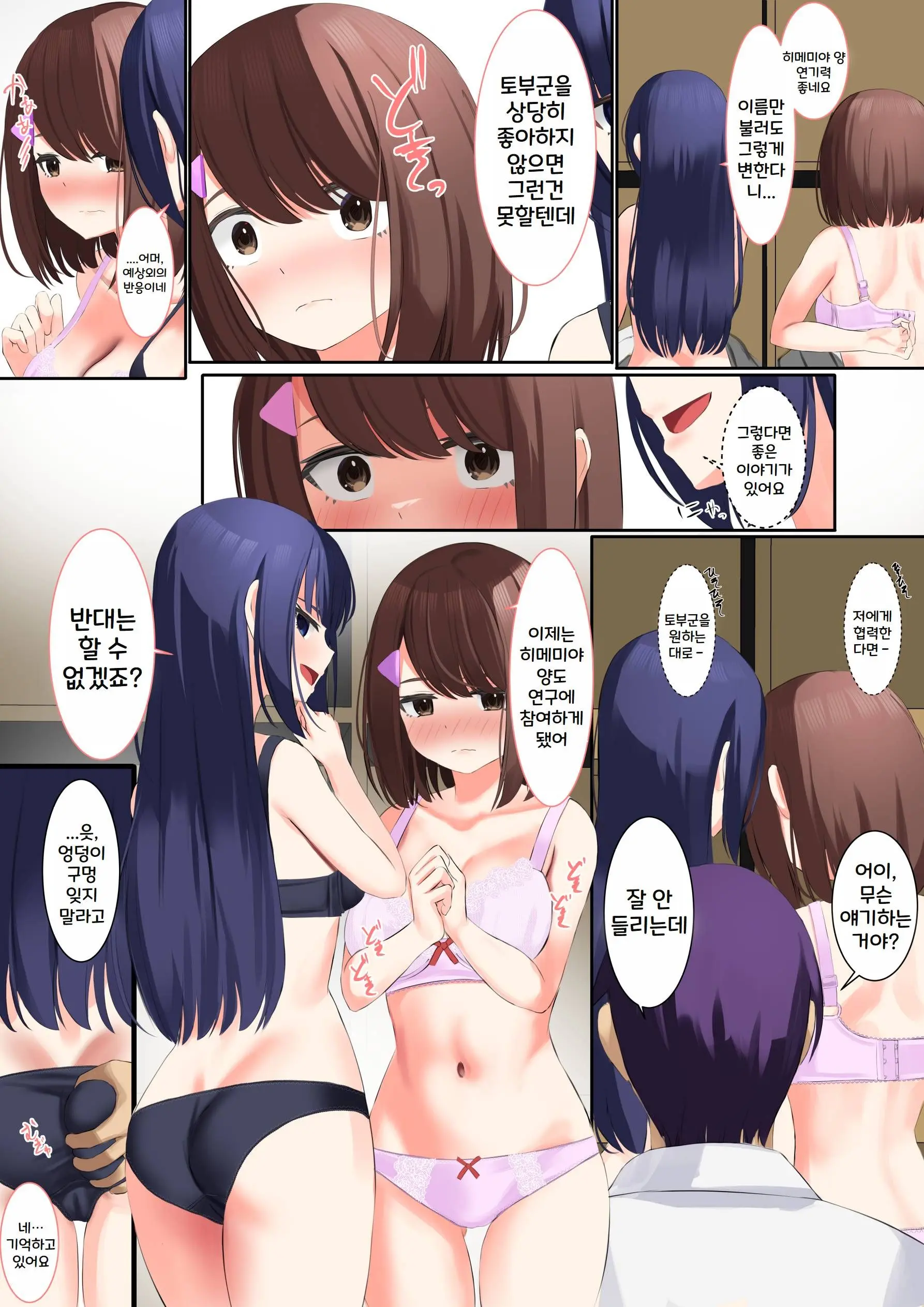 Himemiya Series